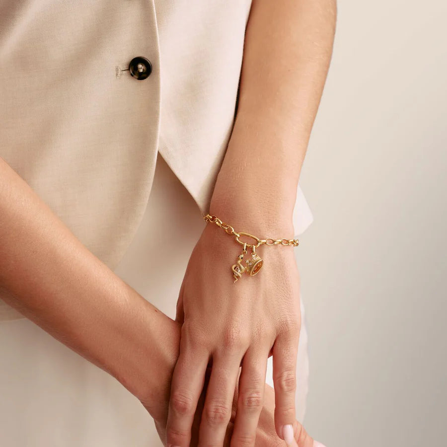 CONNECT CROWN CHARM