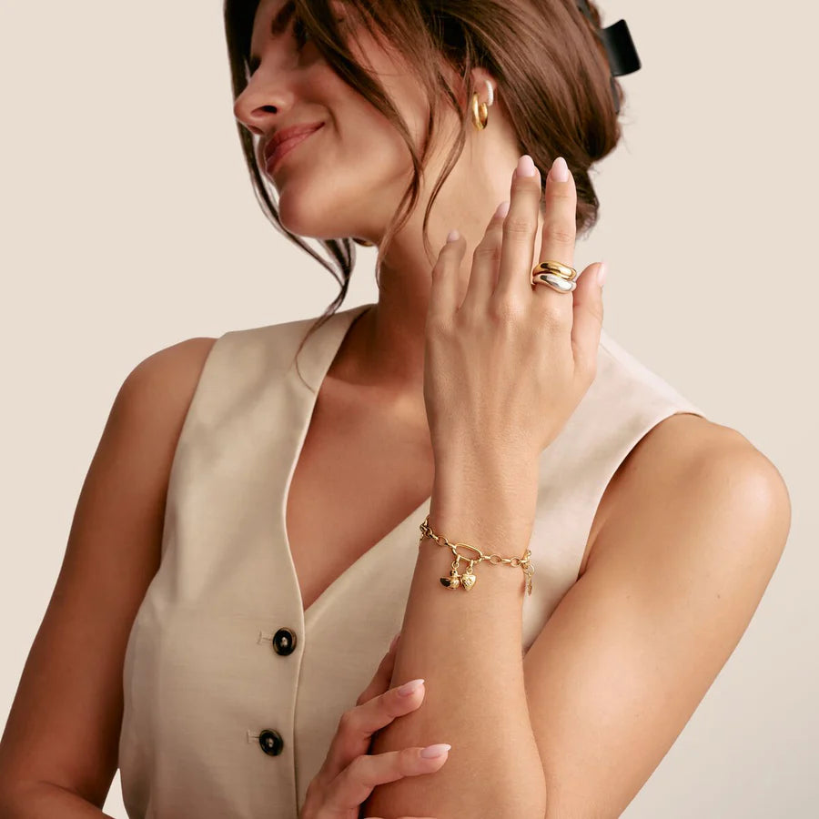 CONNECT DUCK CHARM