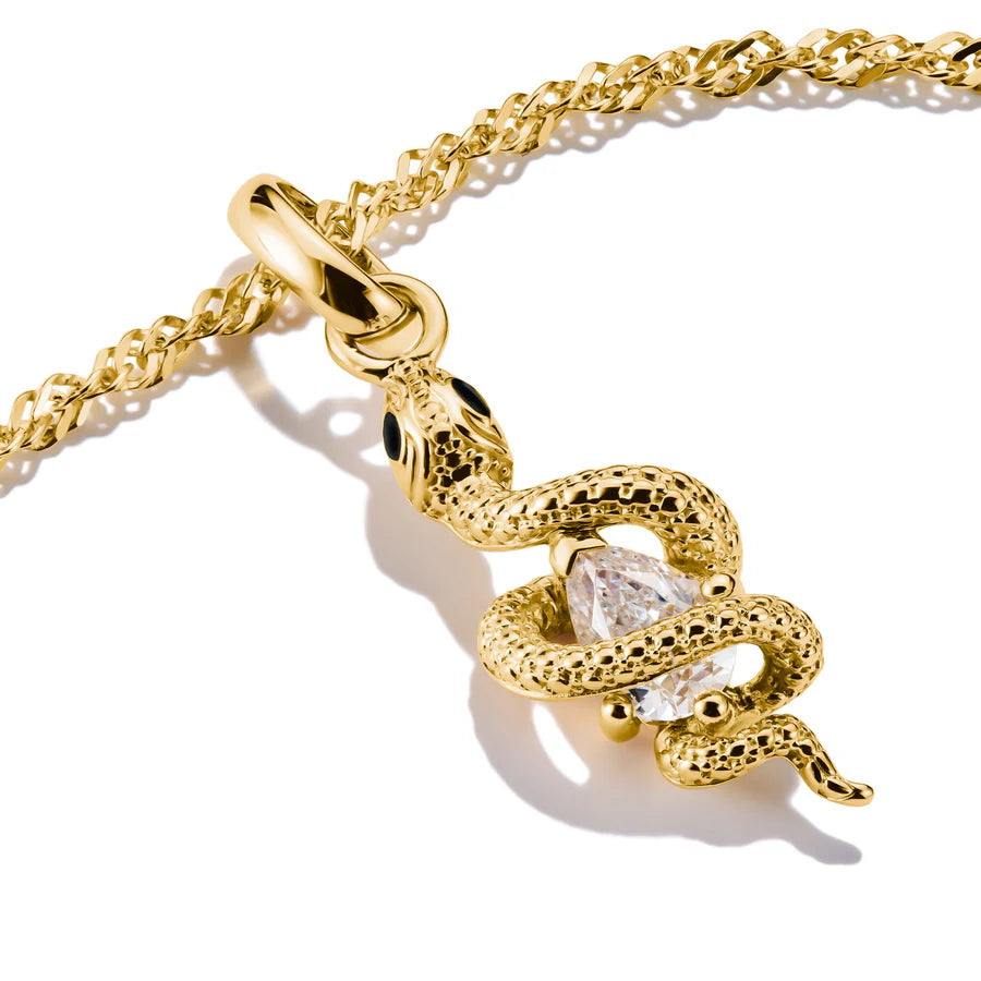 CONNECT SNAKE CHARM