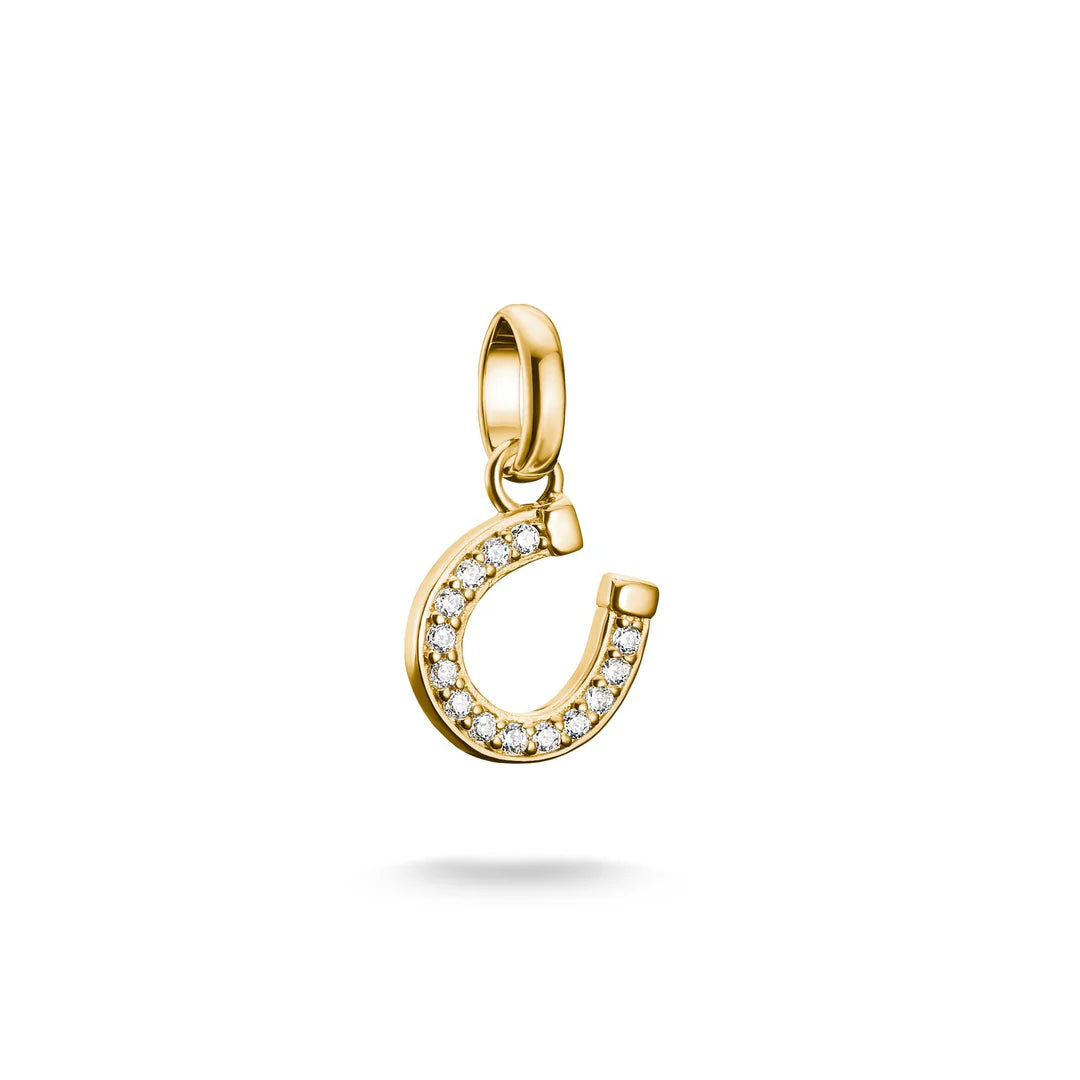 CONNECT HORSESHOE CHARM