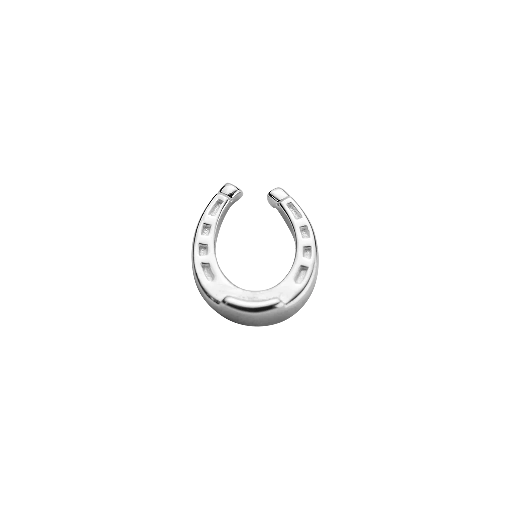 LUCKY HORSESHOE - GOOD LUCK STOW CHARM