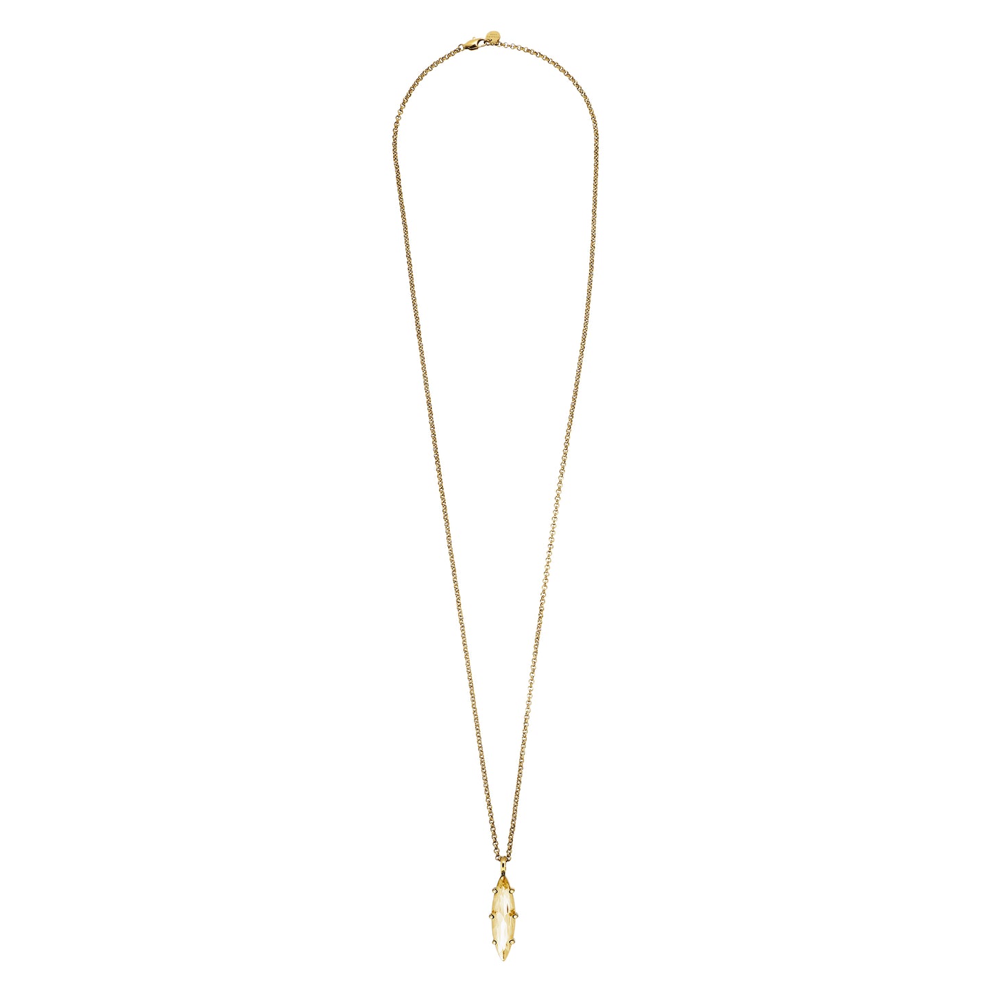 TAKESHI SHINY GOLDEN NECKLACE