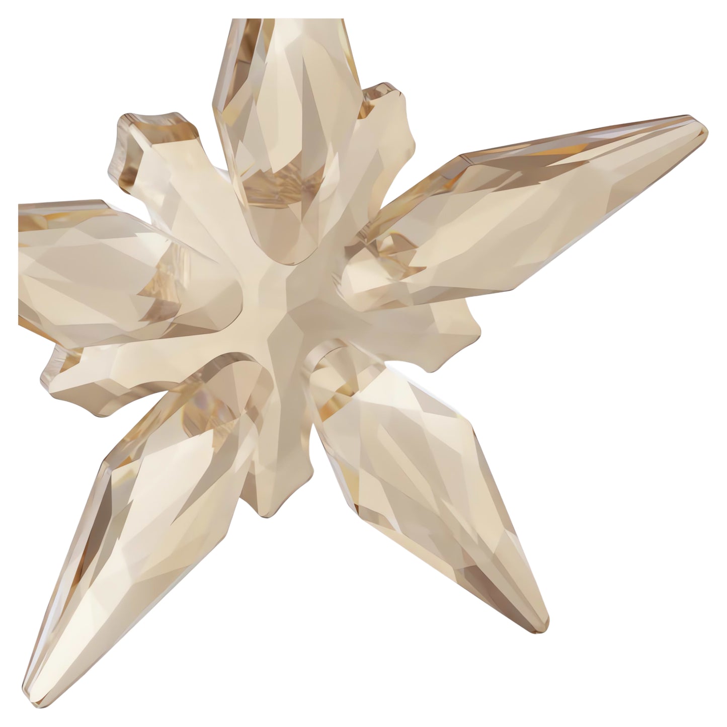 ANNUAL EDITION FESTIVE ORNAMENT 2025