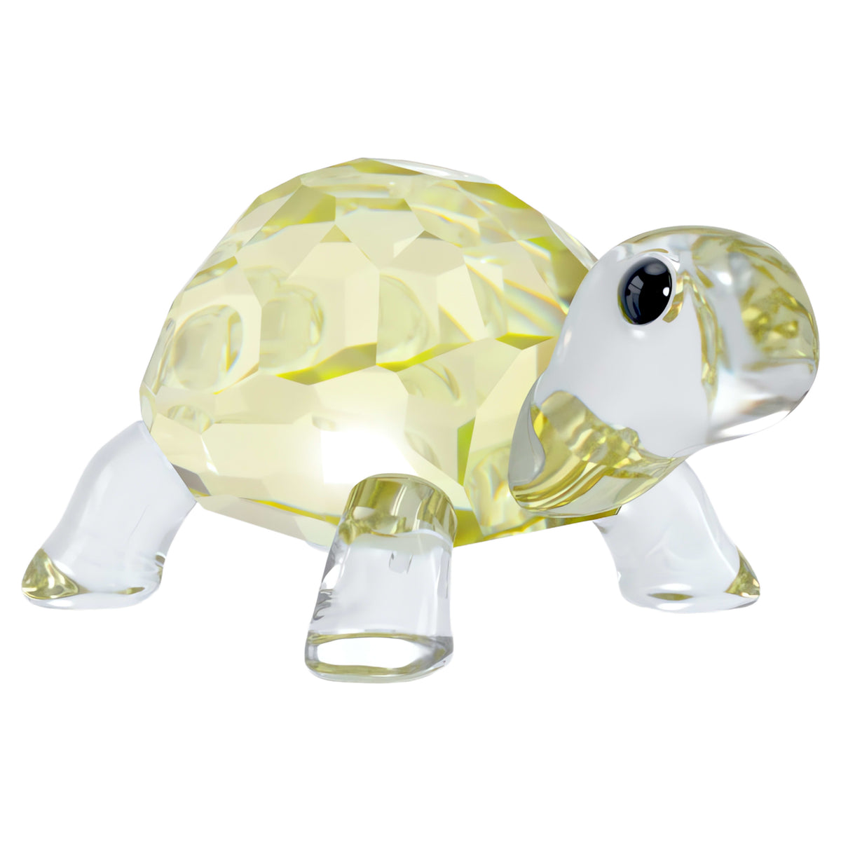 IDYLLIA BABY TORTOISE