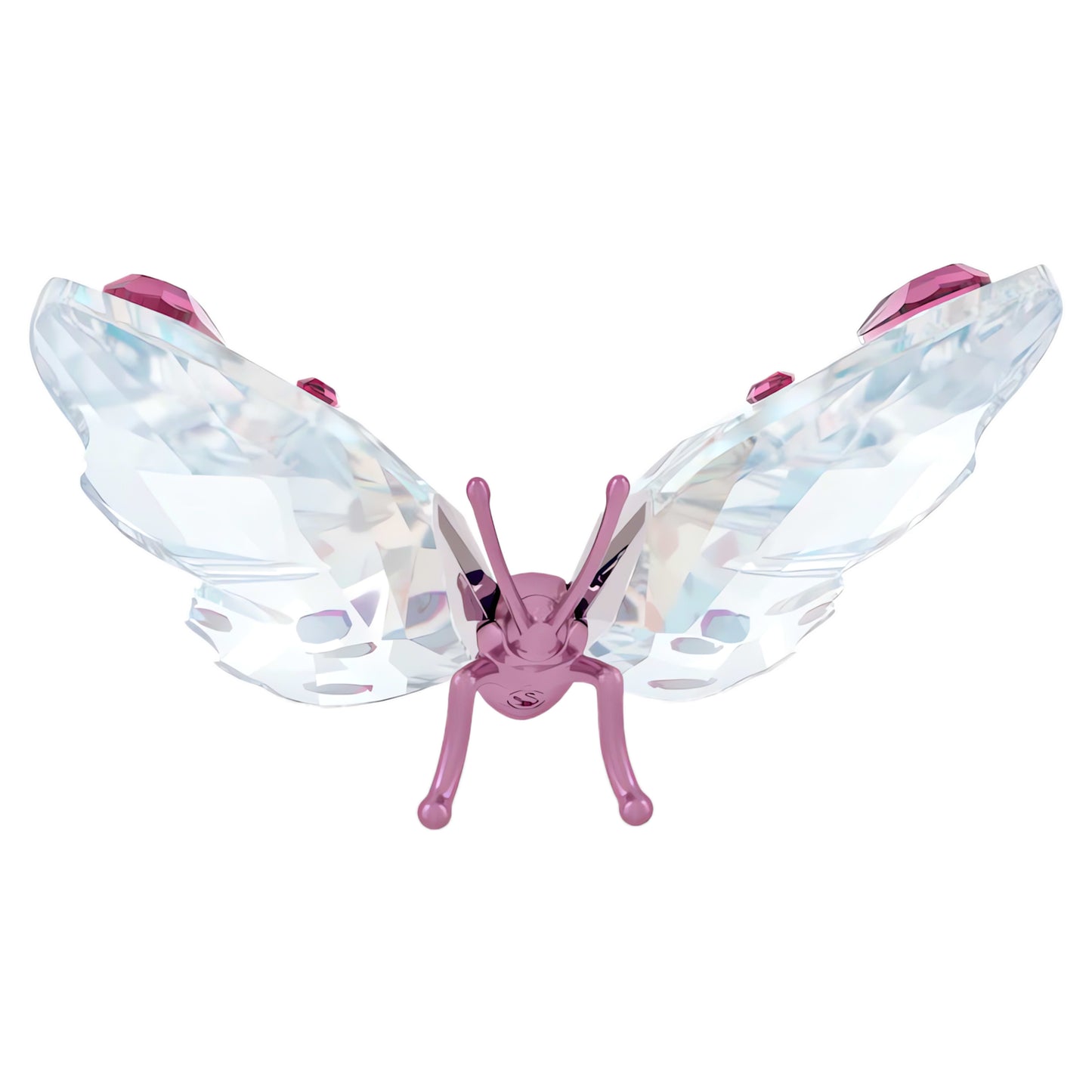 IDYLLIA BUTTERFLY SMALL