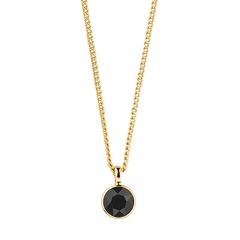 ETTE SHINY GOLD BLACK NECKLACE