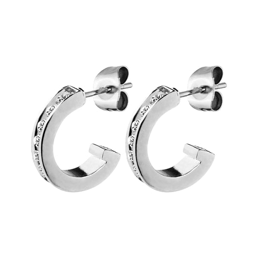DESOLO SHINY SILVER CRYSTAL EARRINGS