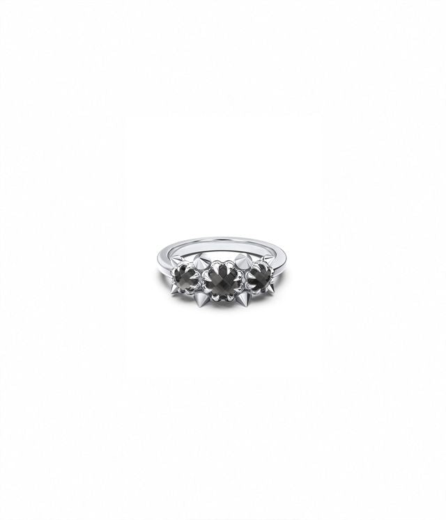 METASOMA CLUSTER RING