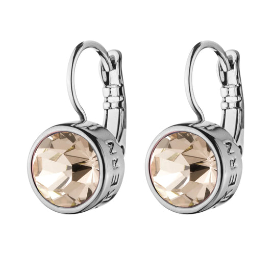 LOUISE SHINY SILVER SAND EARRINGS