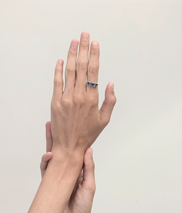 METASOMA CLUSTER RING