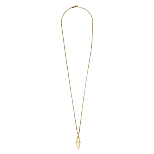 TAKESHI SHINY GOLDEN NECKLACE