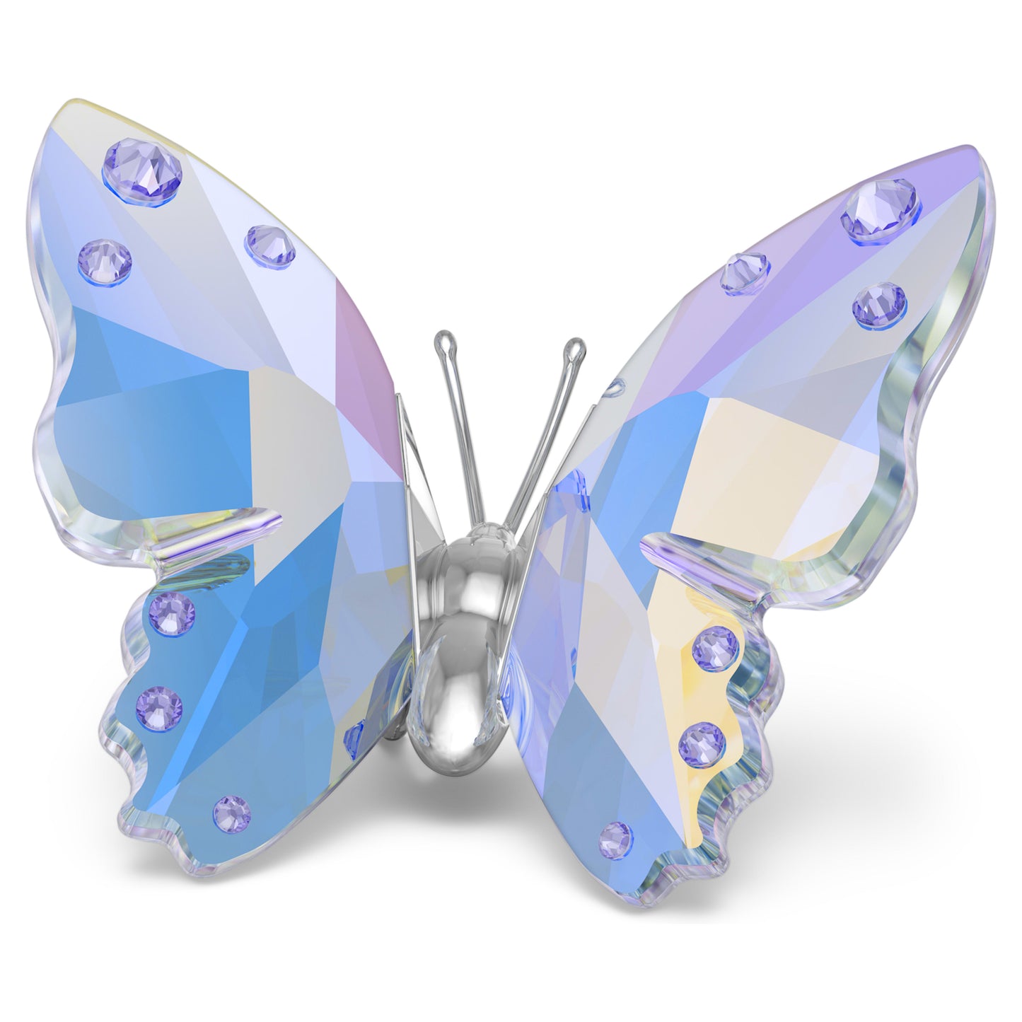 ARIANA GRANDE X BUTTERFLY