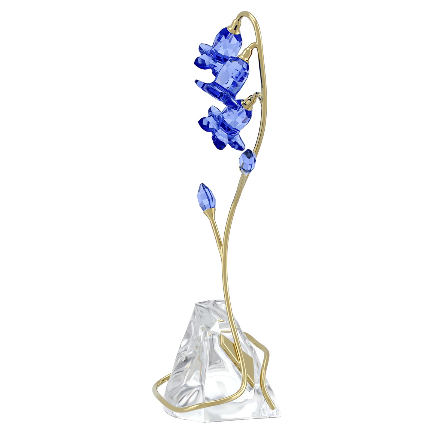 FLORERE: BLUE BELLFLOWER