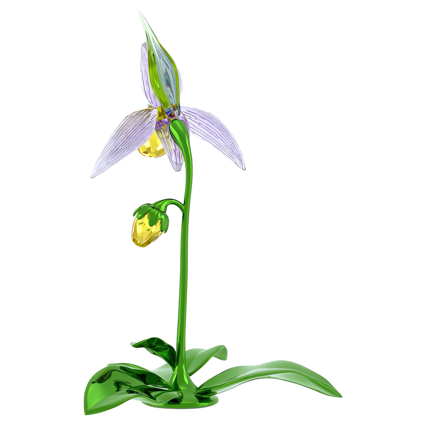 FLORERE: LADY SLIPPER ORCHID