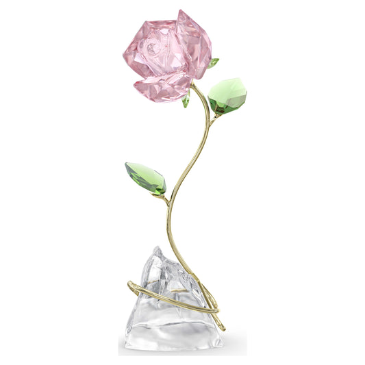 FLORERE ROSE