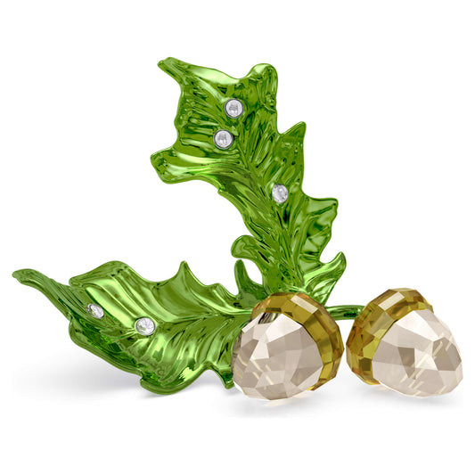 IDYLLIA ACORNS