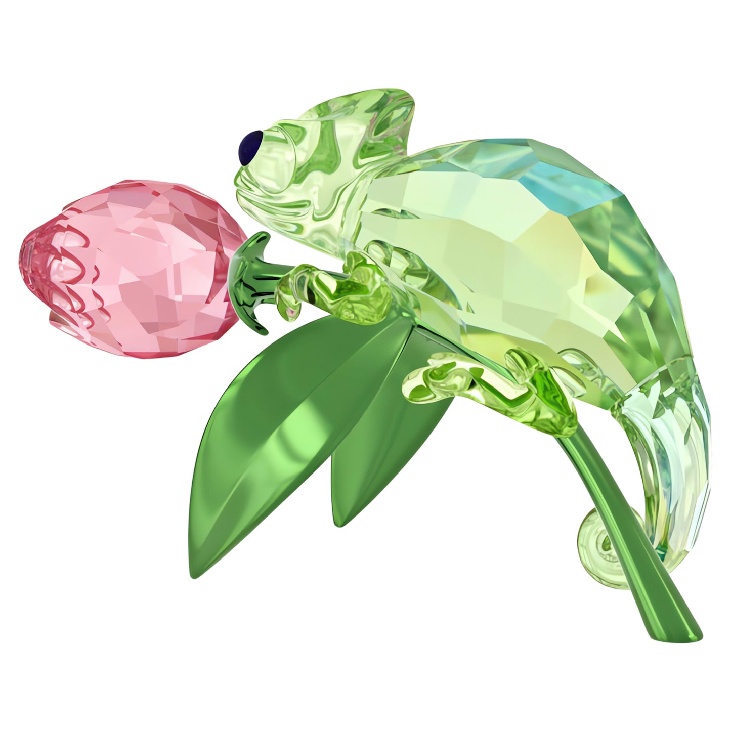 IDYLLIA CHAMELEON AND TULIP
