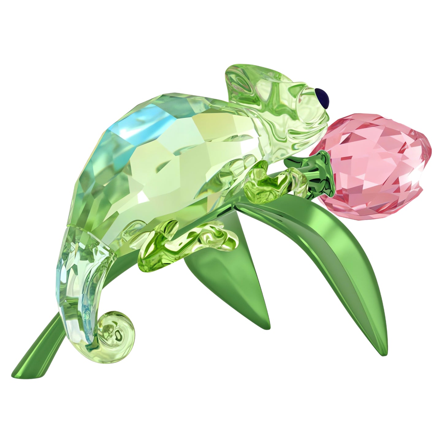 IDYLLIA CHAMELEON AND TULIP