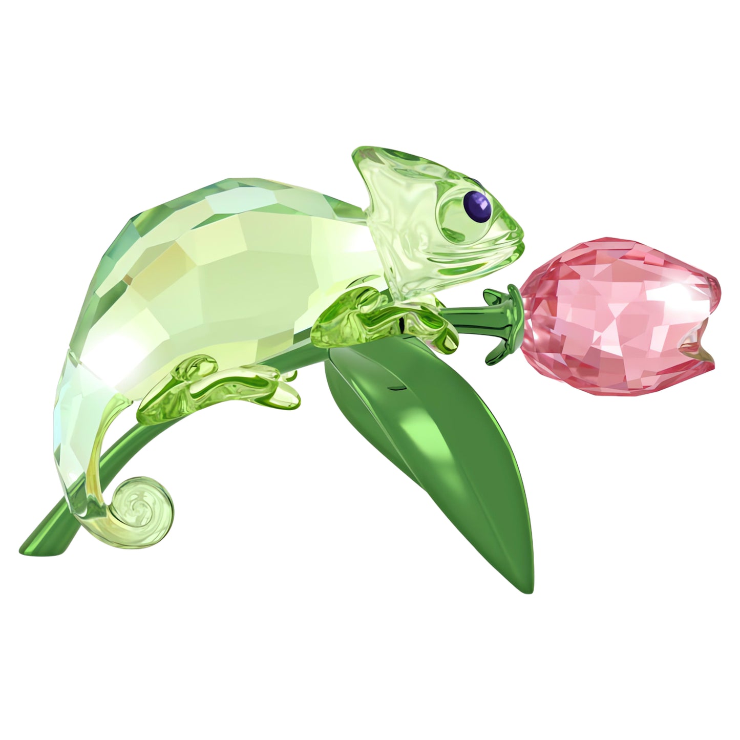 IDYLLIA CHAMELEON AND TULIP