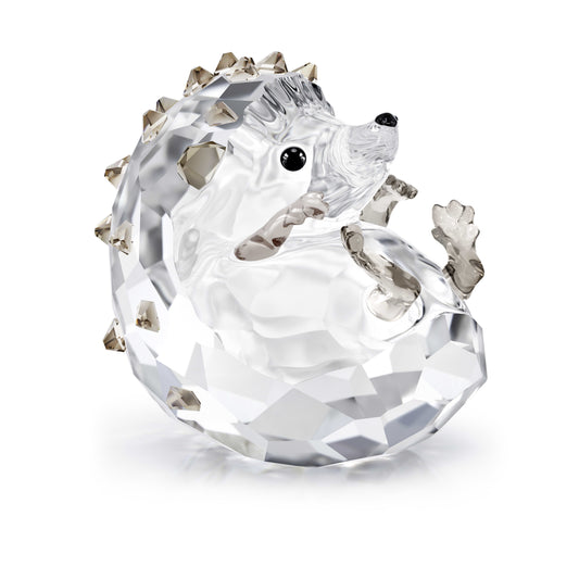 IDYLLIA HEDGEHOG