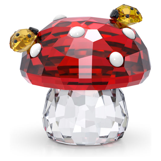 IDYLLIA MUSHROOM AND LADYBUGS
