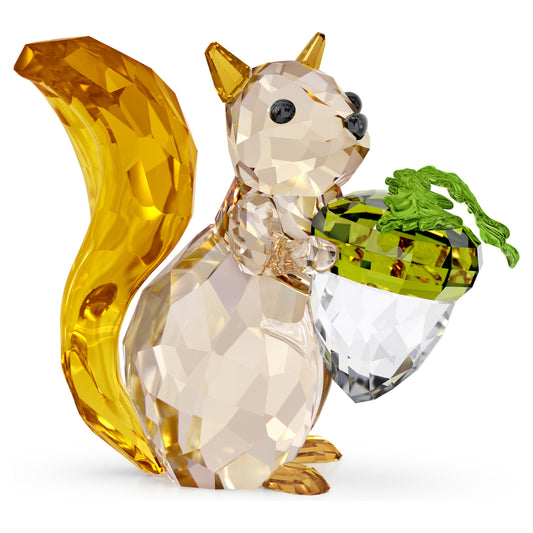 IDYLLIA SQUIRREL AND ACORN