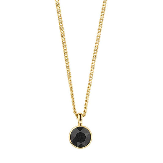 ETTE SHINY GOLD BLACK NECKLACE
