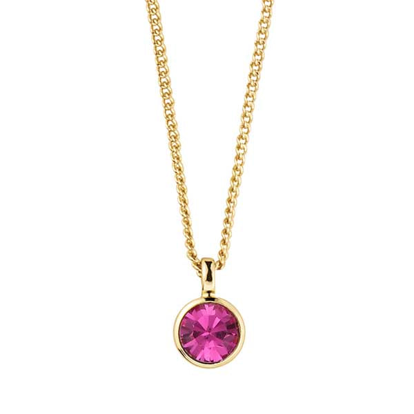 ETTE SHINY GOLD PINK NECKLACE