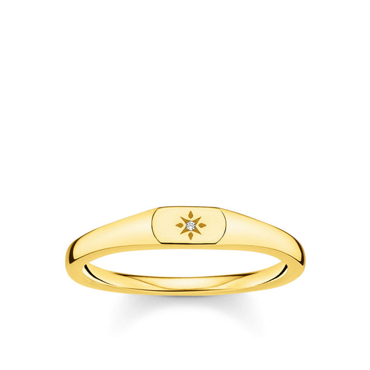 CHARMING COLLECTION MINI SIGNET RING