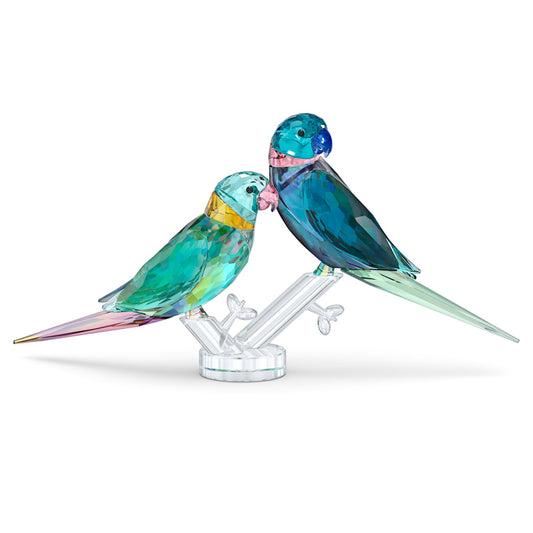 PARAKEET COUPLE